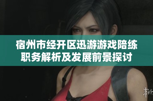 宿州市经开区迅游游戏陪练职务解析及发展前景探讨