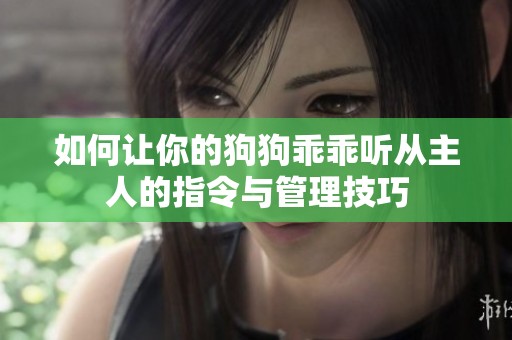 如何让你的狗狗乖乖听从主人的指令与管理技巧