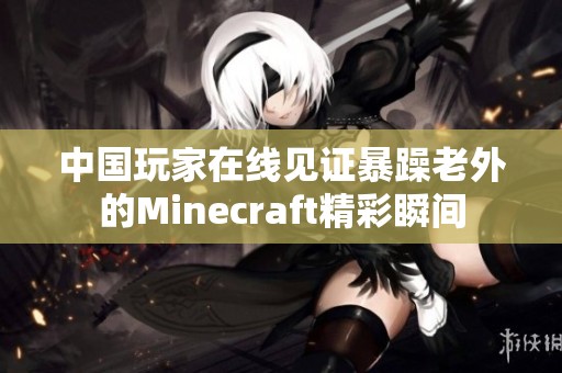 中国玩家在线见证暴躁老外的Minecraft精彩瞬间