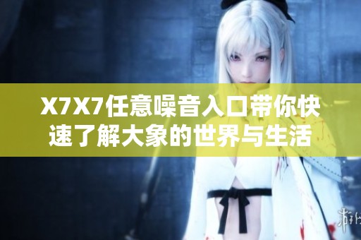 X7X7任意噪音入口带你快速了解大象的世界与生活