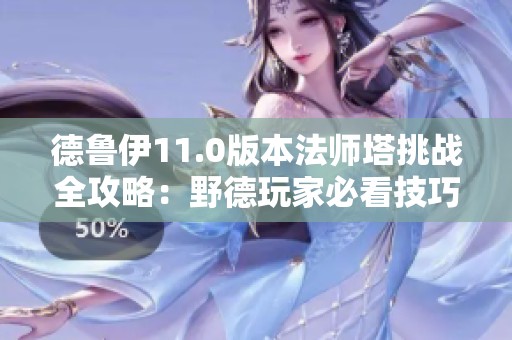 德鲁伊11.0版本法师塔挑战全攻略：野德玩家必看技巧与心得