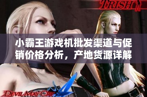 小霸王游戏机批发渠道与促销价格分析，产地货源详解