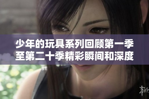 少年的玩具系列回顾第一季至第二十季精彩瞬间和深度解析