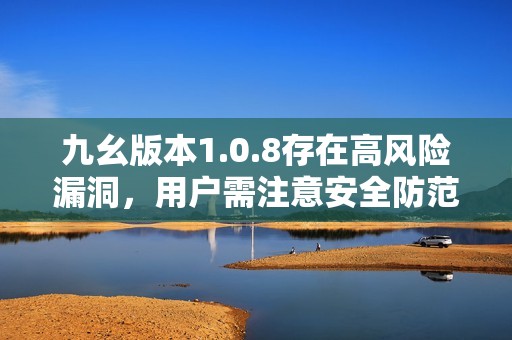 九幺版本1.0.8存在高风险漏洞，用户需注意安全防范措施