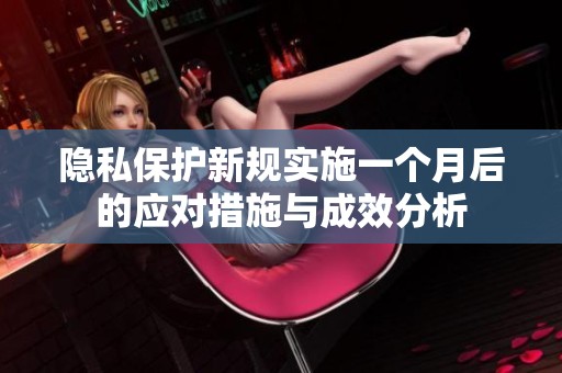 隐私保护新规实施一个月后的应对措施与成效分析