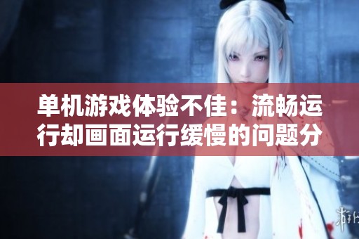 单机游戏体验不佳：流畅运行却画面运行缓慢的问题分析