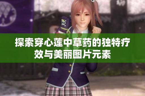 探索穿心莲中草药的独特疗效与美丽图片元素