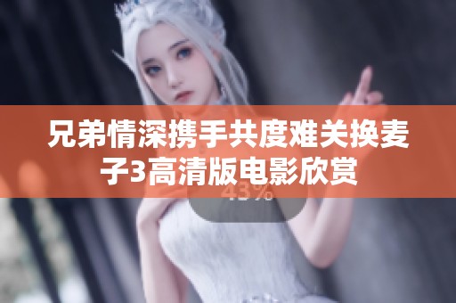 兄弟情深携手共度难关换麦子3高清版电影欣赏