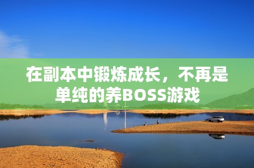 在副本中锻炼成长，不再是单纯的养BOSS游戏