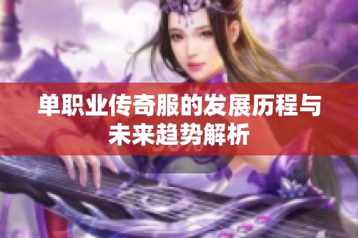 单职业传奇服的发展历程与未来趋势解析