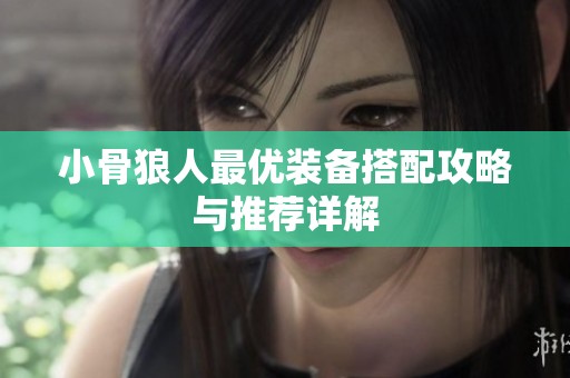 小骨狼人最优装备搭配攻略与推荐详解