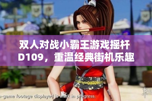 双人对战小霸王游戏摇杆 D109，重温经典街机乐趣
