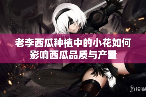 老李西瓜种植中的小花如何影响西瓜品质与产量