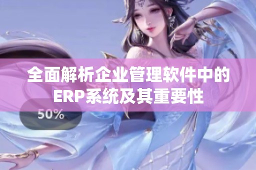 全面解析企业管理软件中的ERP系统及其重要性
