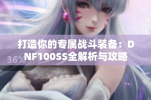 打造你的专属战斗装备：DNF100SS全解析与攻略