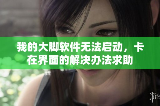 我的大脚软件无法启动，卡在界面的解决办法求助