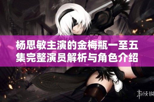 杨思敏主演的金梅瓶一至五集完整演员解析与角色介绍