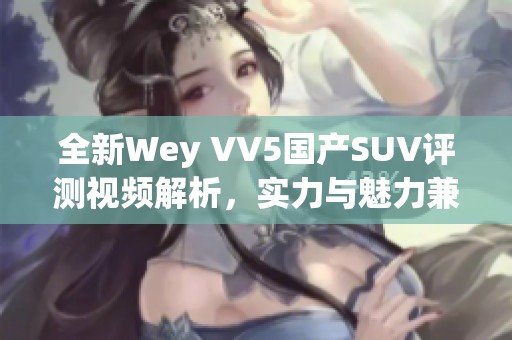 全新Wey VV5国产SUV评测视频解析，实力与魅力兼具