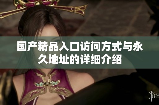 国产精品入口访问方式与永久地址的详细介绍