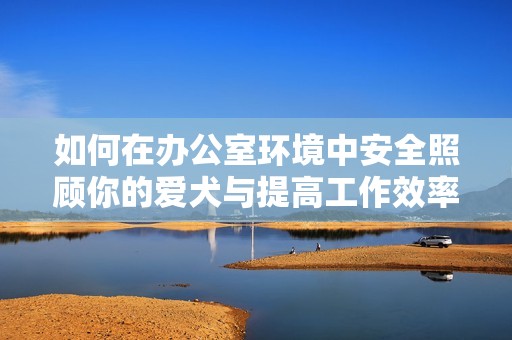 如何在办公室环境中安全照顾你的爱犬与提高工作效率