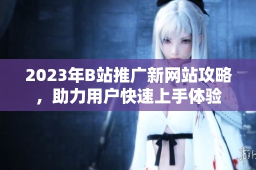 2023年B站推广新网站攻略，助力用户快速上手体验
