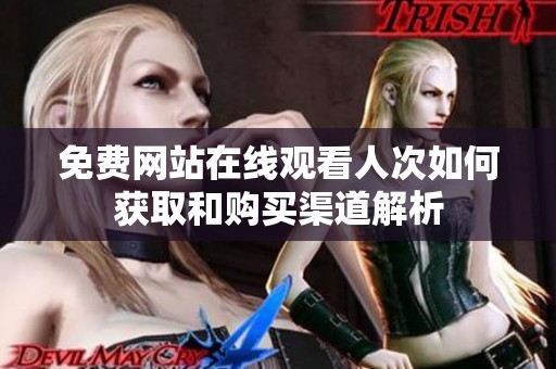 免费网站在线观看人次如何获取和购买渠道解析