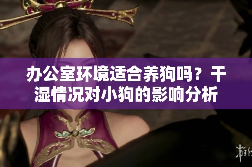 办公室环境适合养狗吗？干湿情况对小狗的影响分析
