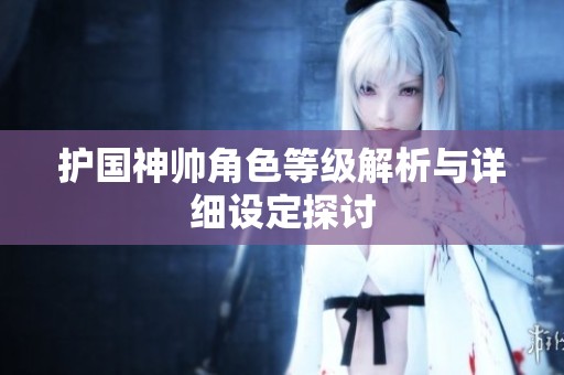护国神帅角色等级解析与详细设定探讨