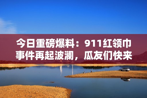 今日重磅爆料：911红领巾事件再起波澜，瓜友们快来围观！
