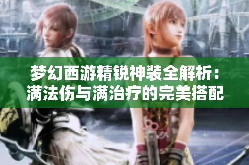 梦幻西游精锐神装全解析：满法伤与满治疗的完美搭配
