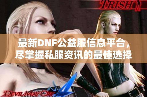 最新DNF公益服信息平台，尽掌握私服资讯的最佳选择
