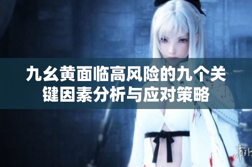 九幺黄面临高风险的九个关键因素分析与应对策略