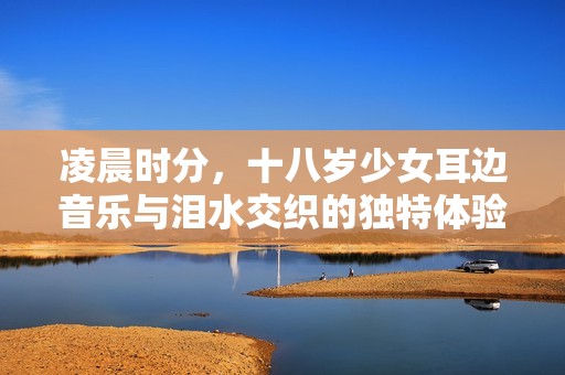 凌晨时分，十八岁少女耳边音乐与泪水交织的独特体验