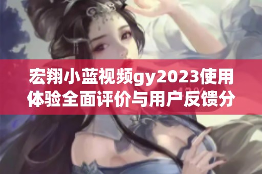 宏翔小蓝视频gy2023使用体验全面评价与用户反馈分析
