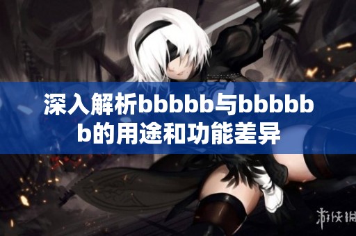 深入解析bbbbb与bbbbbb的用途和功能差异