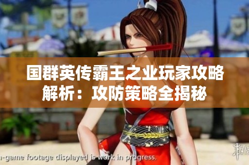 国群英传霸王之业玩家攻略解析：攻防策略全揭秘