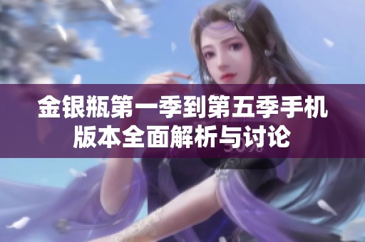 金银瓶第一季到第五季手机版本全面解析与讨论