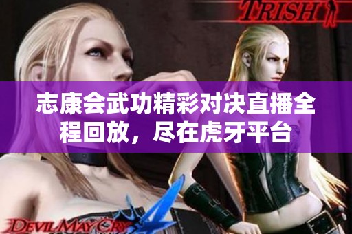 志康会武功精彩对决直播全程回放，尽在虎牙平台
