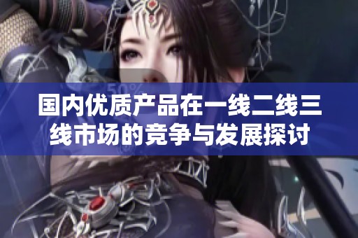 国内优质产品在一线二线三线市场的竞争与发展探讨