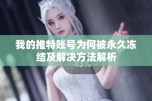 我的推特账号为何被永久冻结及解决方法解析