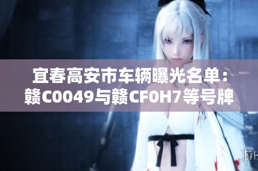 宜春高安市车辆曝光名单：赣C0049与赣CF0H7等号牌详解