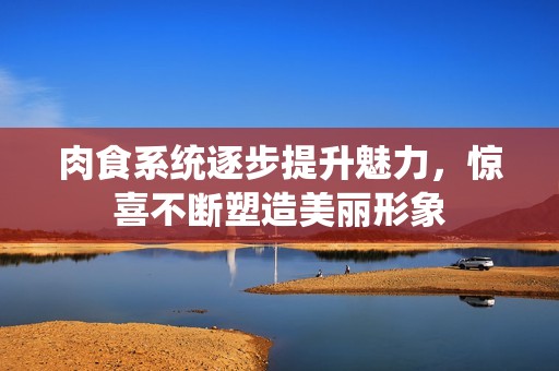肉食系统逐步提升魅力，惊喜不断塑造美丽形象