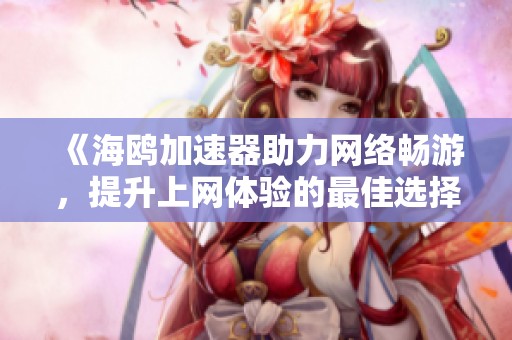《海鸥加速器助力网络畅游，提升上网体验的最佳选择》