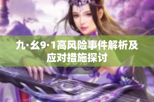 九·幺9·1高风险事件解析及应对措施探讨