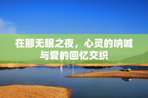 在那无眠之夜，心灵的呐喊与爱的回忆交织