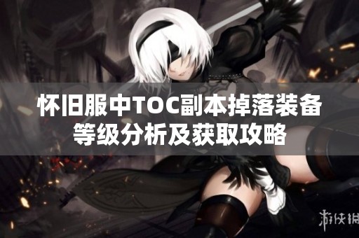 怀旧服中TOC副本掉落装备等级分析及获取攻略