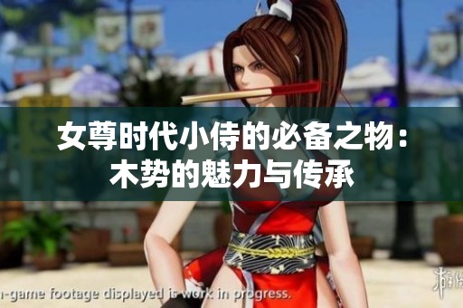 女尊时代小侍的必备之物：木势的魅力与传承