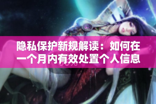 隐私保护新规解读：如何在一个月内有效处置个人信息