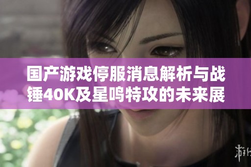 国产游戏停服消息解析与战锤40K及星鸣特攻的未来展望