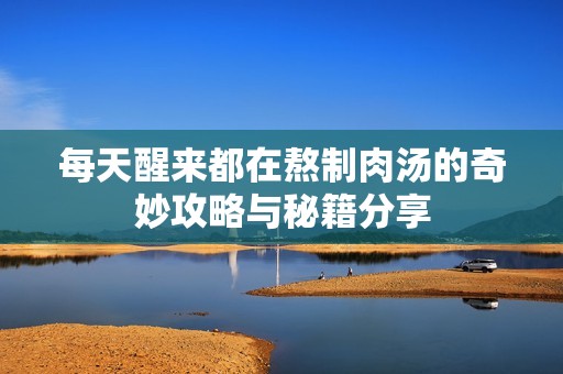 每天醒来都在熬制肉汤的奇妙攻略与秘籍分享
